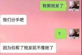 沂源融资清欠服务